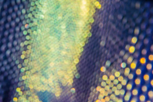 Fondo de Creación Artística Interdisciplinaria 2026